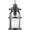 Progress Lighting Haslett Collection One-Light Hanging Lantern P550031-103 - alternate 4